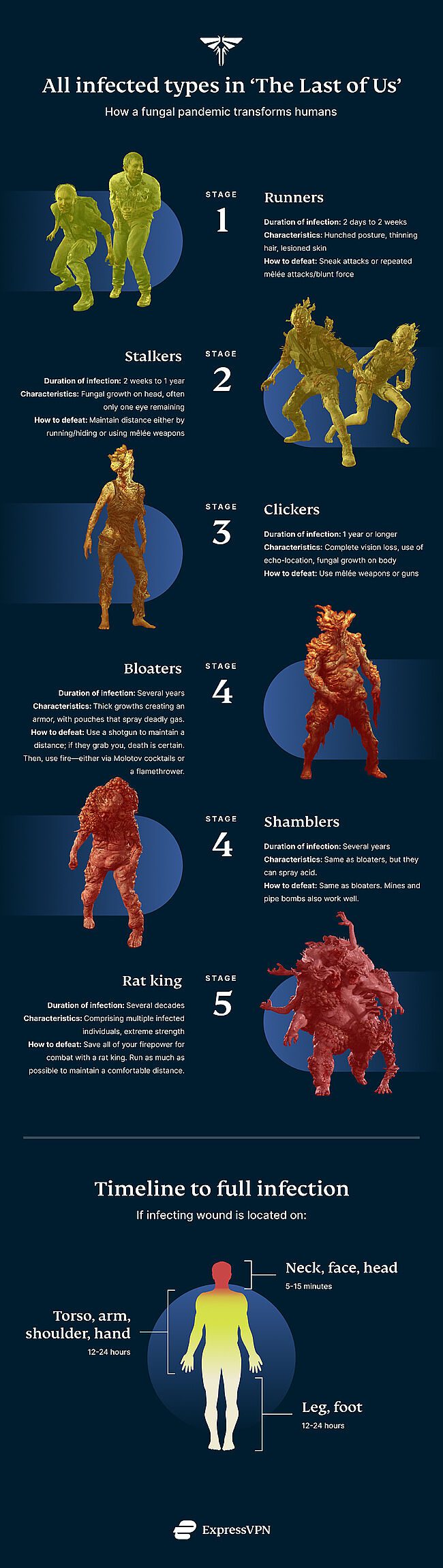 The Last Of Us Infected Infographic 1