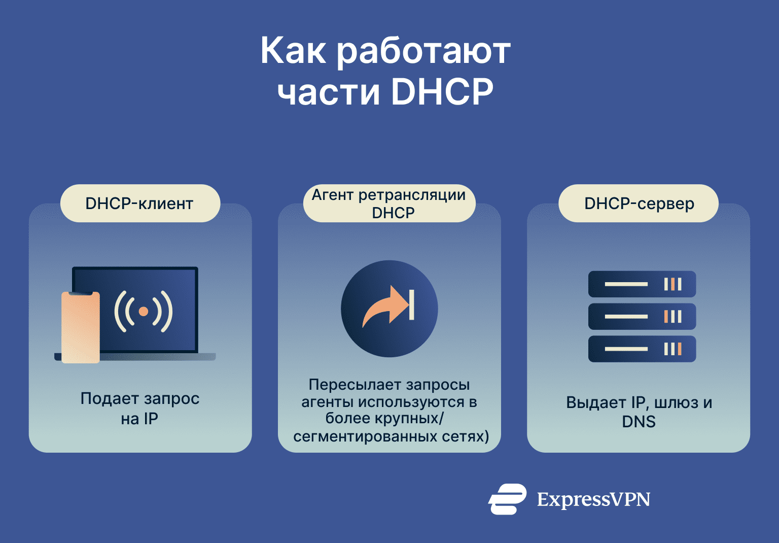 Infographic showing how DHCP components work.