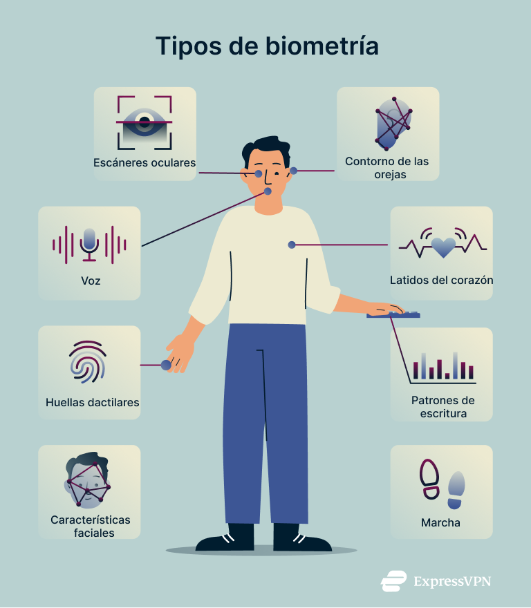 What Is Biometrics Types Of Biometrics 1 1