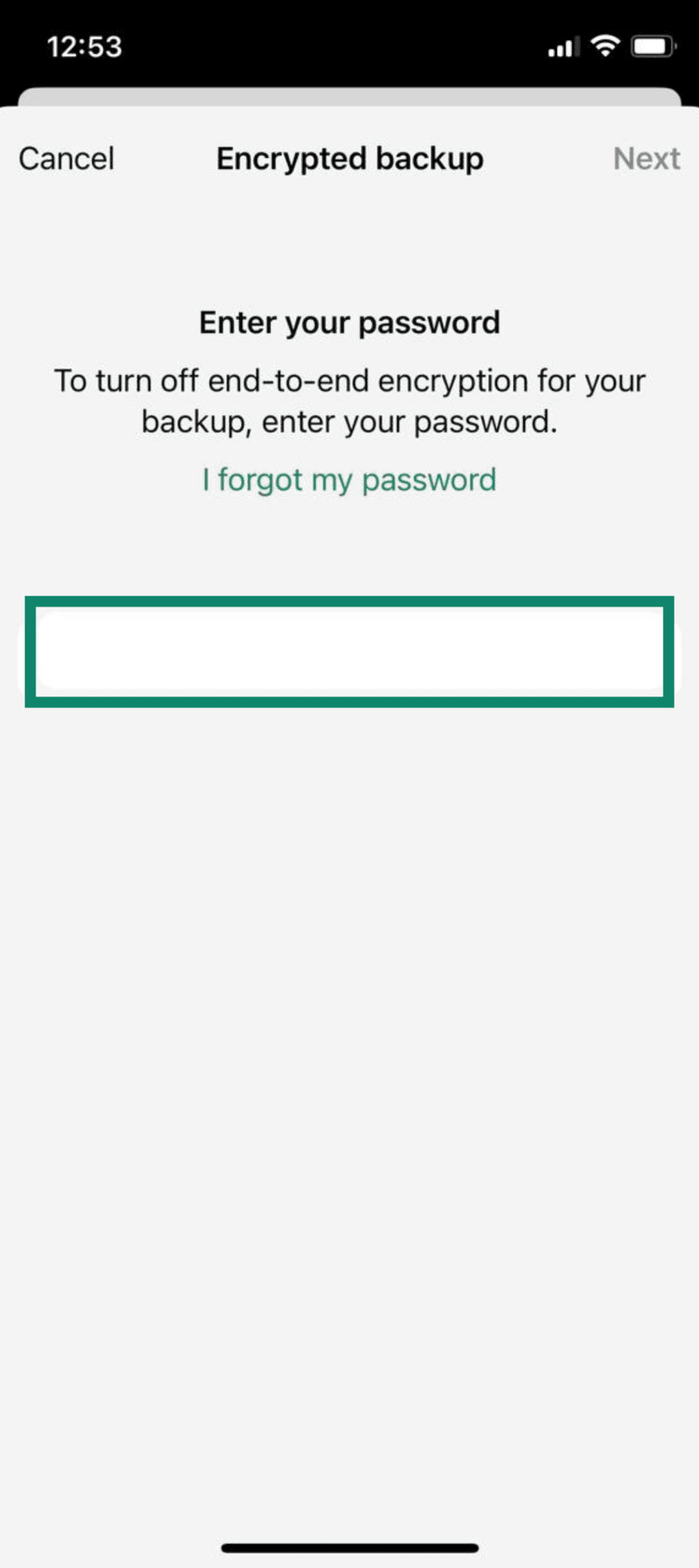Password entry screen to disable end-to-end encrypted backup on iPhone