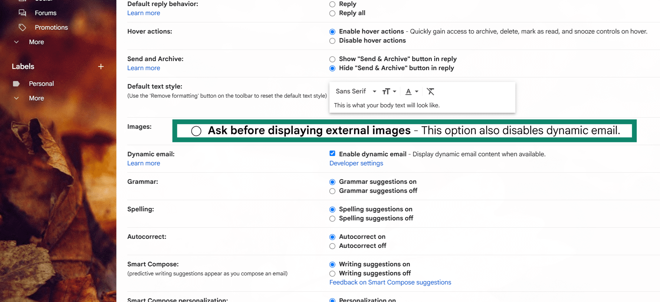 Gmail settings page showing how to enable the