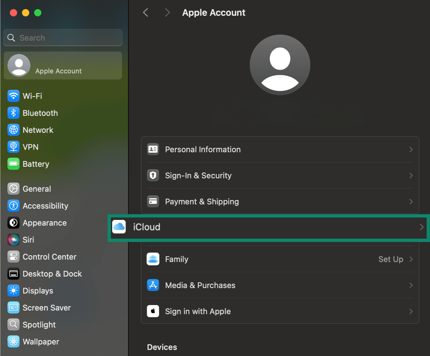 Apple Account settings page, showing the iCloud menu option.