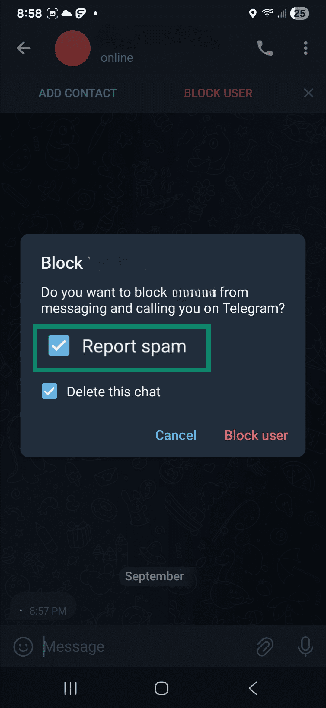 Telegram screen showing Report spam option.
