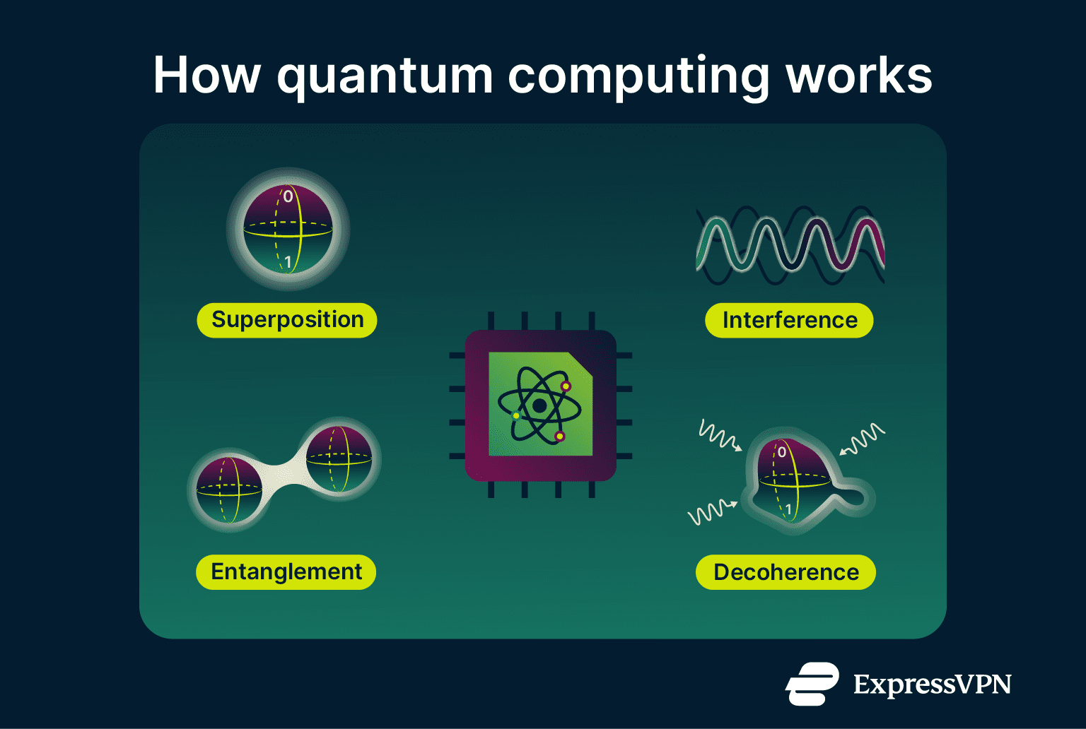 How quantum computers use superposition, entanglement, interference, and decoherence to process information differently from classical computers.