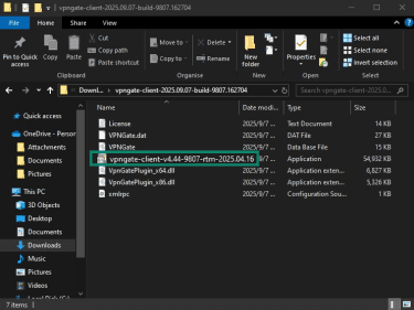 Download folder containing VPN Gate Client files with the installer highlighted.