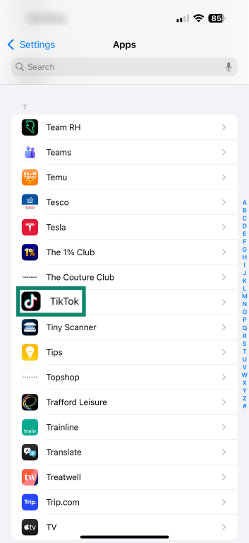 The "Apps" page on iOS. The "TikTok" list entry is highlighted and enlarged.