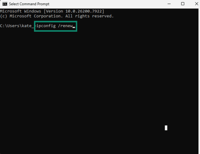 Screenshot of ipconfig /renew command in Windows Command Prompt