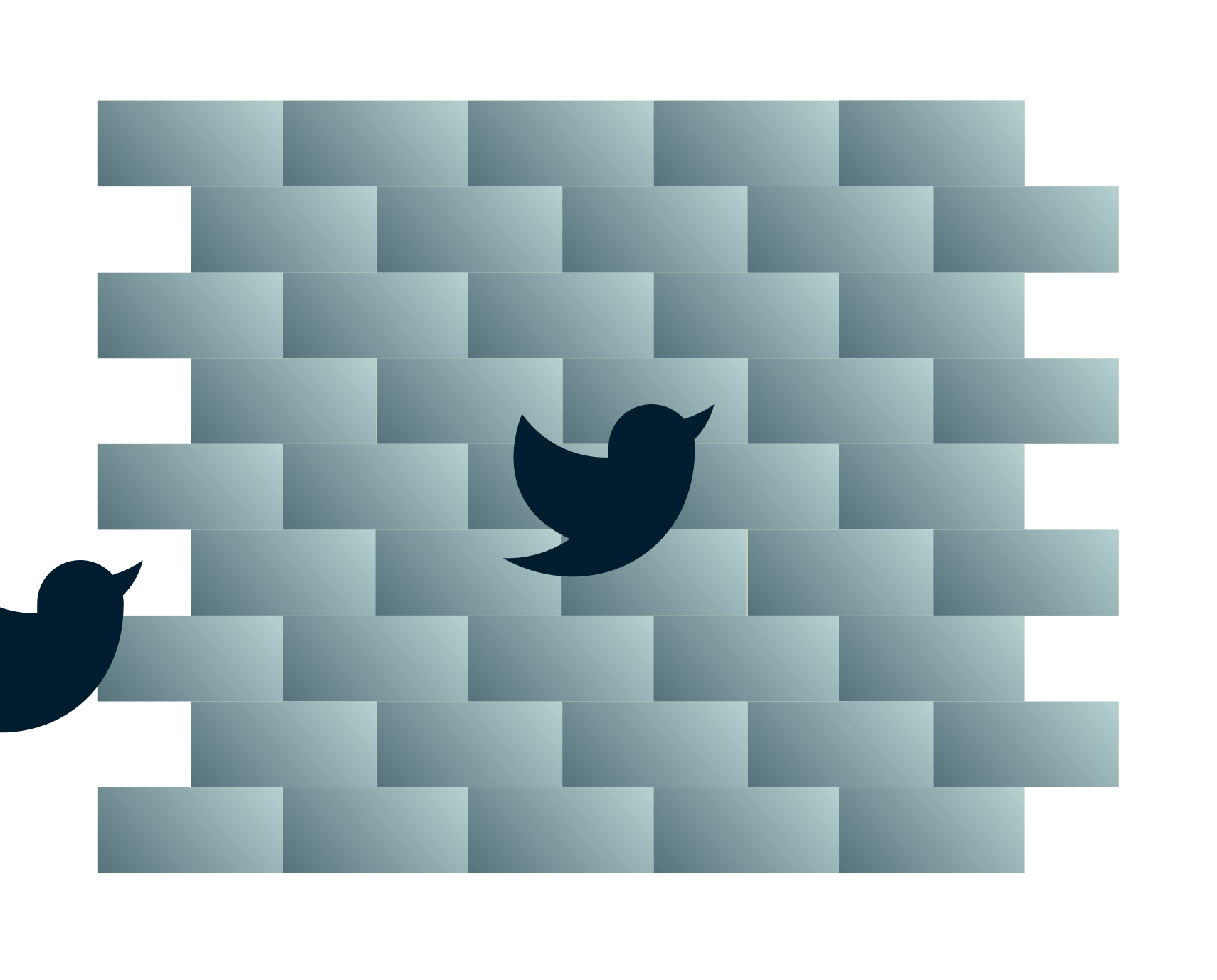 Twitterowe ptaki zmierzające do ściany.