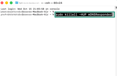 Flush the DNS cache on macOS through terminal.
