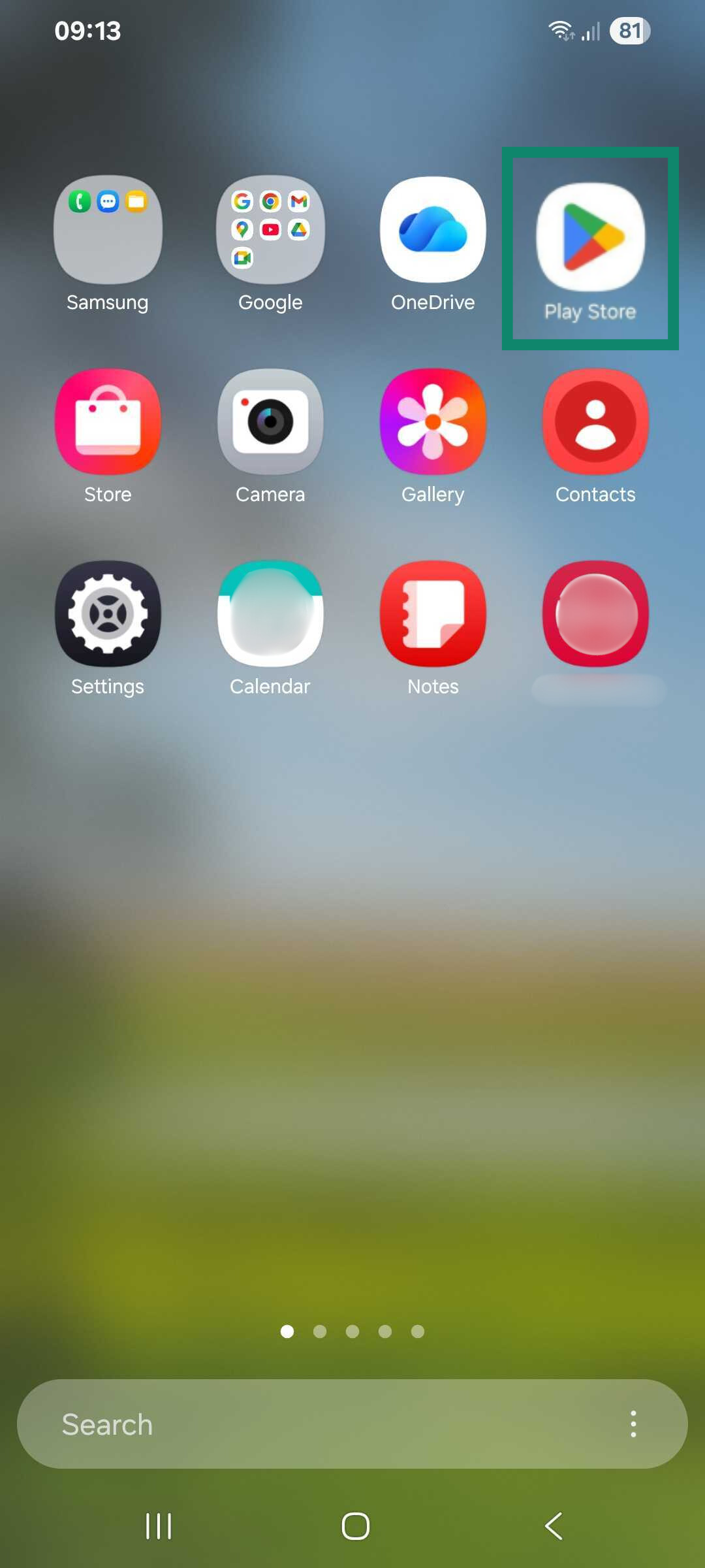 The Google Play Store app on an Android phone.