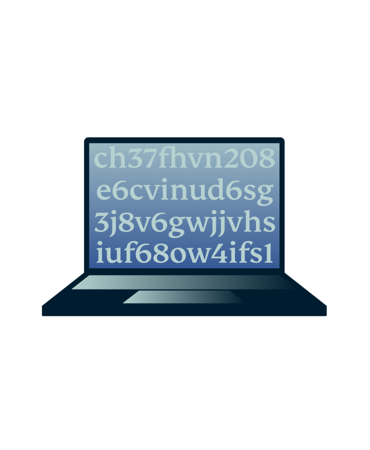 Top Level Encryption@2x